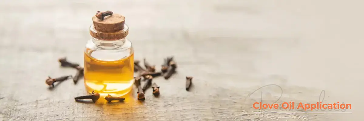 Clove Oil Application