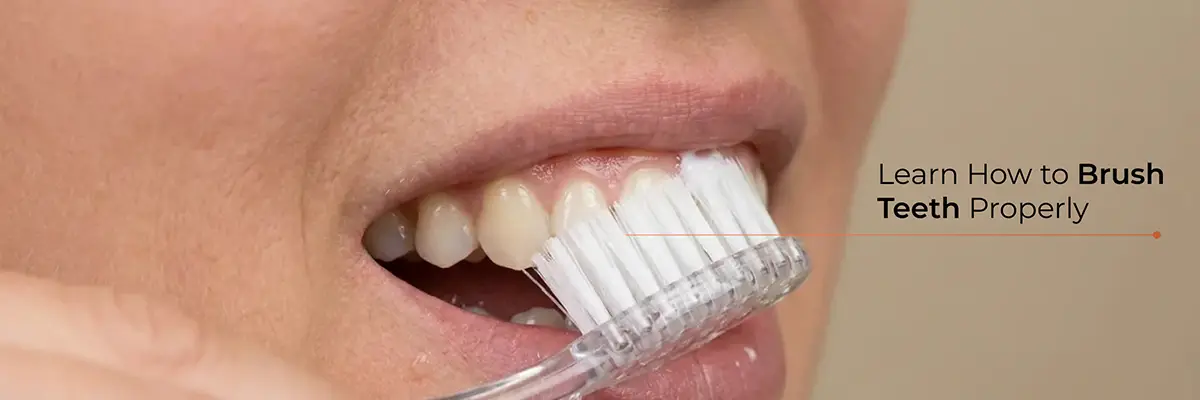 How to Brush Teeth Properly